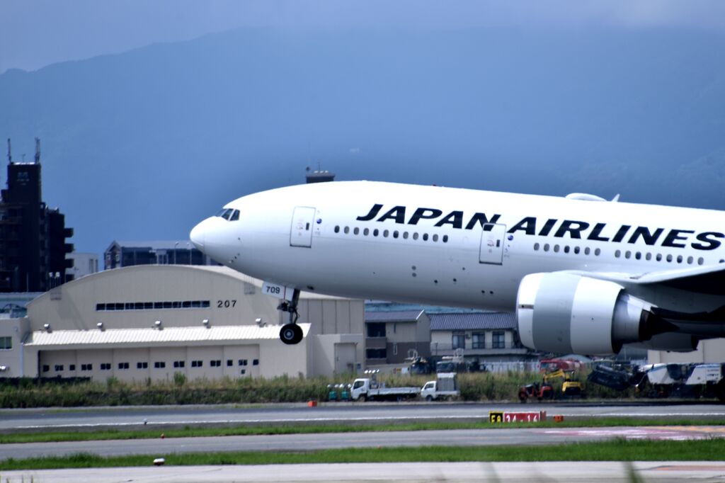 JAL 713