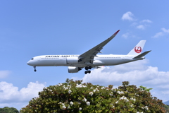 JAL 578