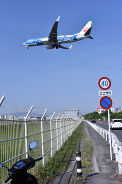 JAL 619