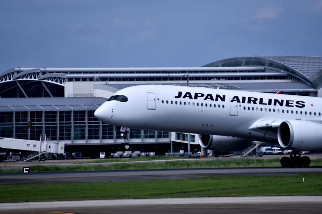 JAL 818