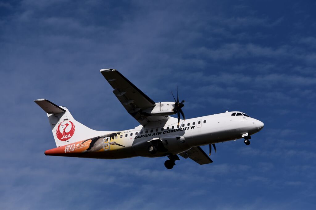 JAL 1334