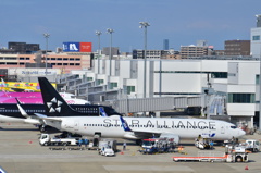 ANA 383