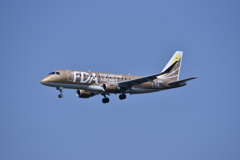 FDA 219