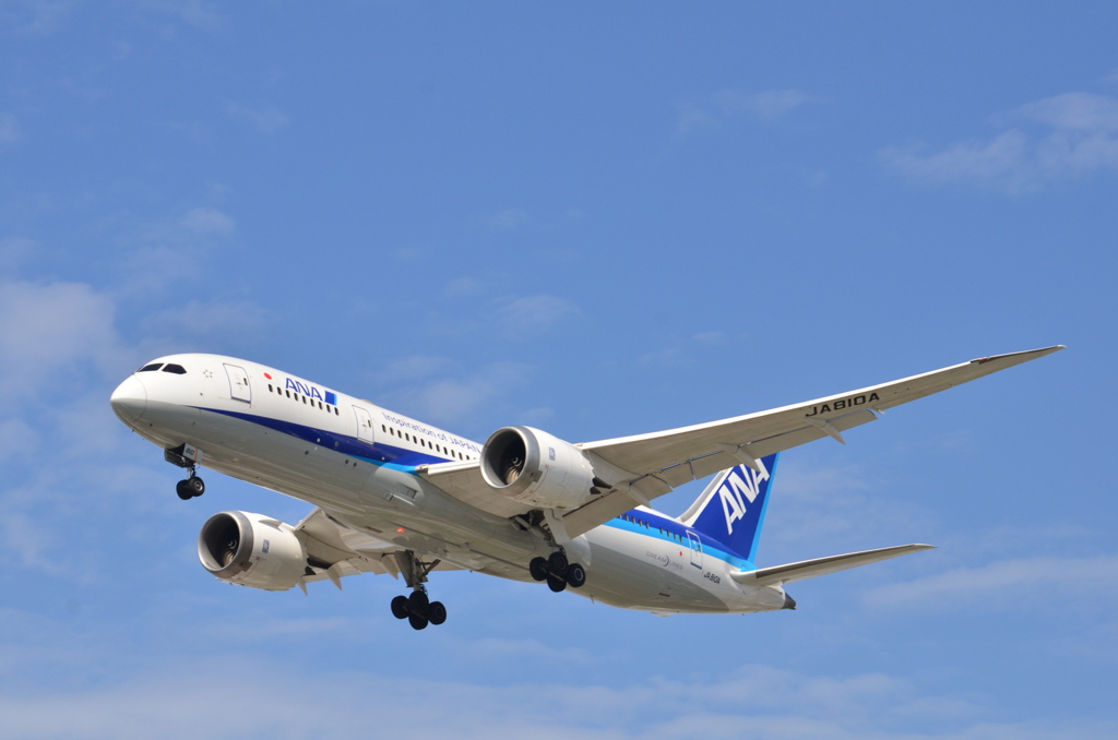 ANA 396