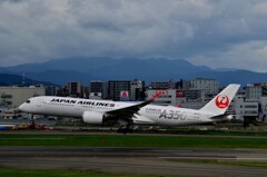 JAL 1193