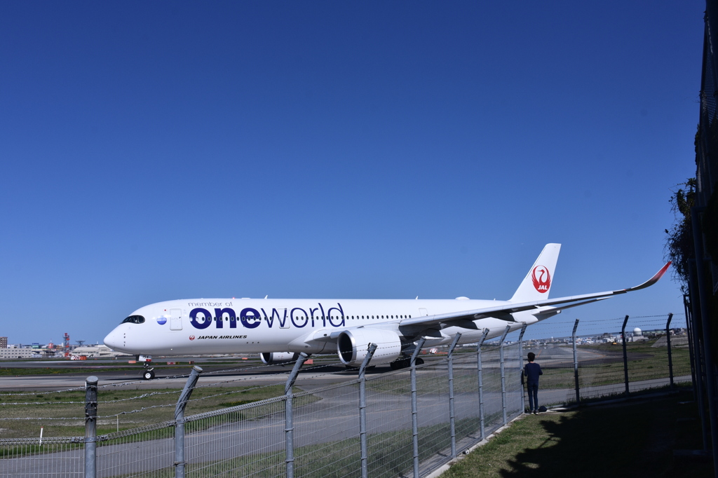 JAL 1001