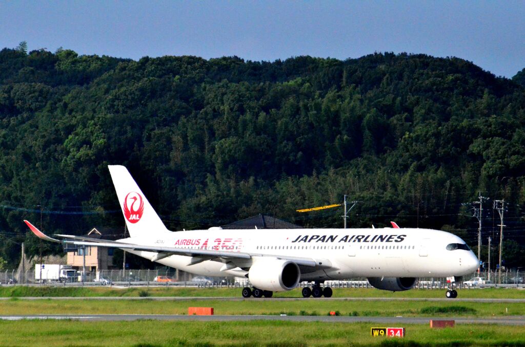 JAL 51