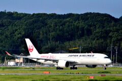 JAL 51