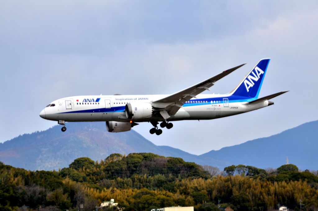 ANA 486