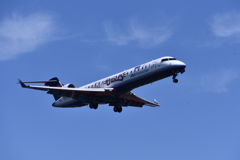 ANA 859