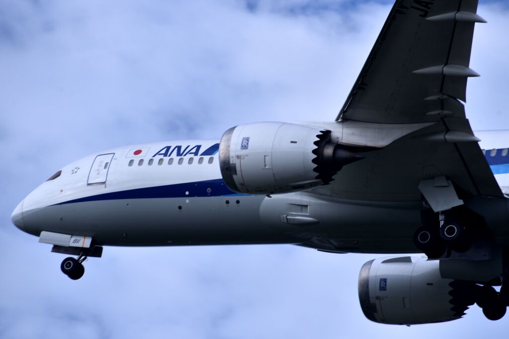 ANA 957