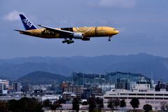 ANA 726