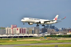 JAL 282