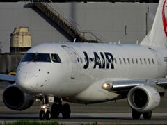 JAL 1333