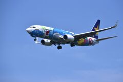 SKY 225