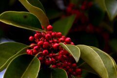 「昔をみんな棄てたから・・」