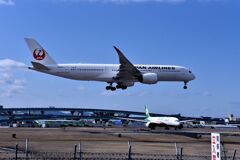 JAL 856