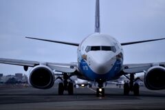 SKY 291