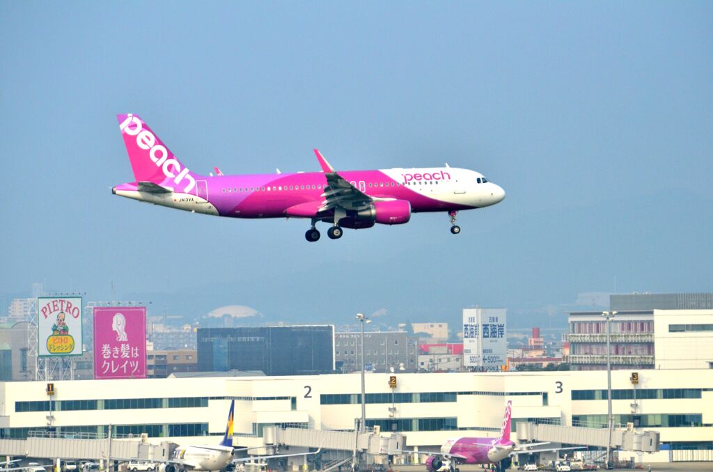 PEA 109