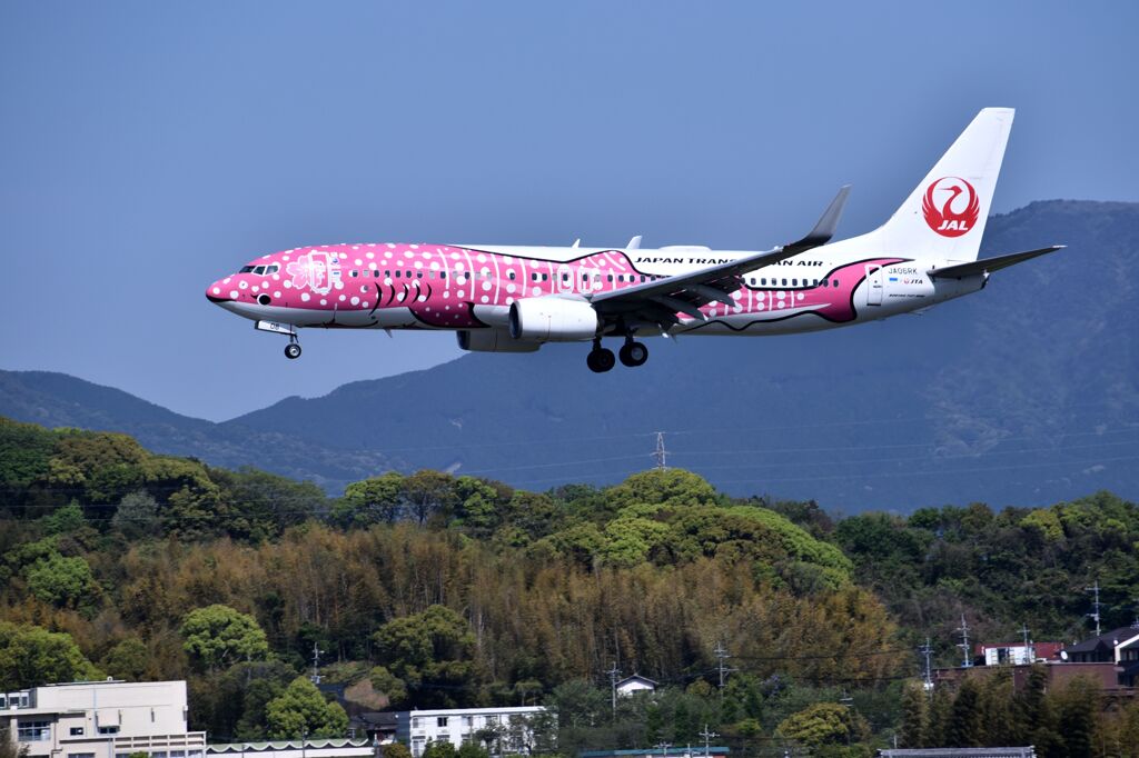 JAL 568