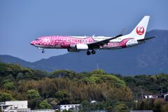 JAL 568