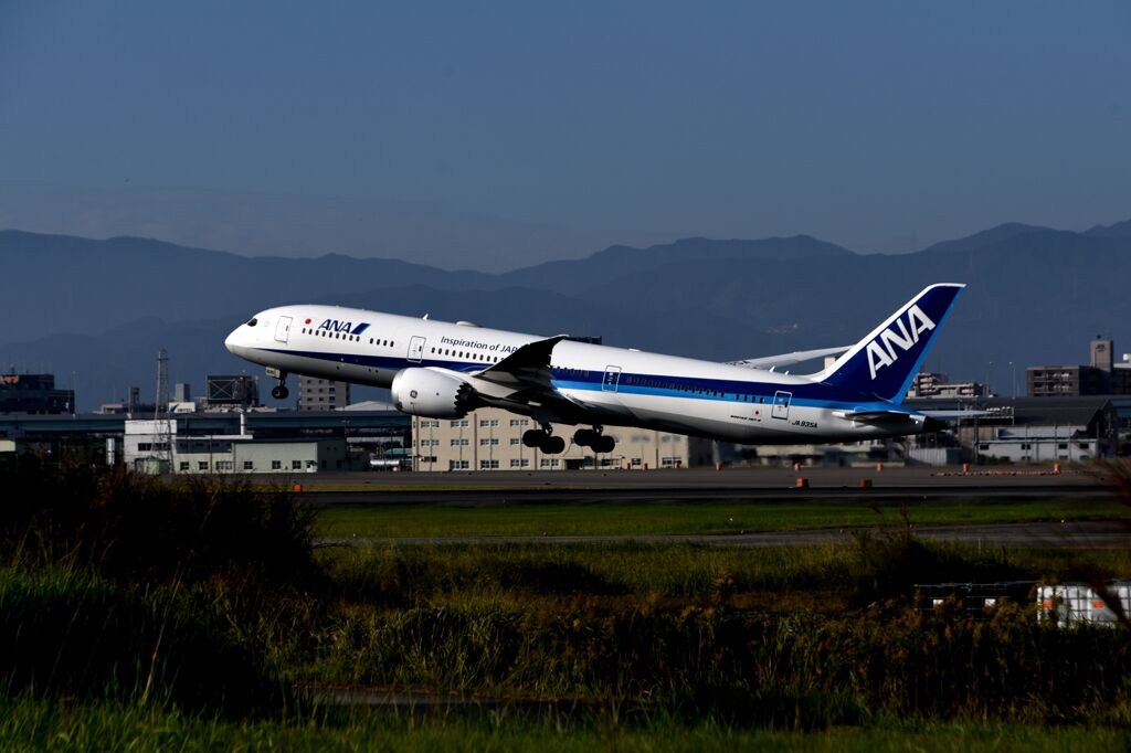 ANA 1129  「DeNAベイスターズ優勝おめでとう！」