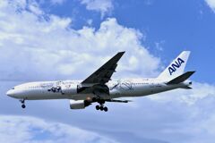ANA 863