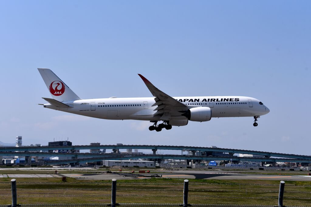 JAL 875