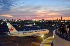 JAL 337  （特別塗装機）