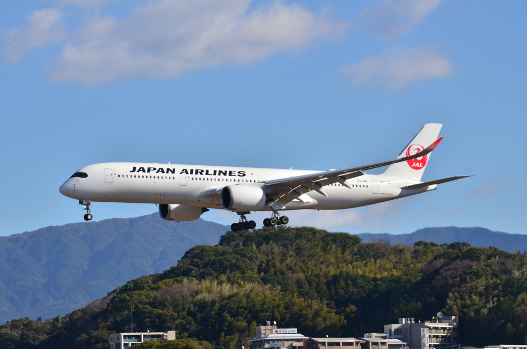 JAL 403