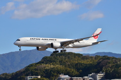 JAL 403