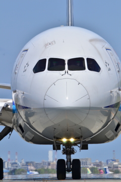 ANA 501