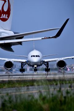 ANA 517