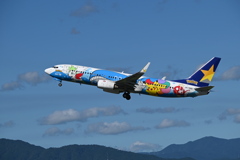 SKY 317