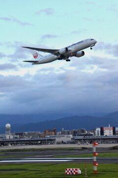 JAL 342