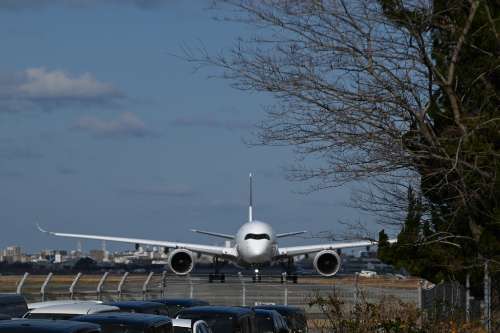 「初撮り2026」（JAL1374）