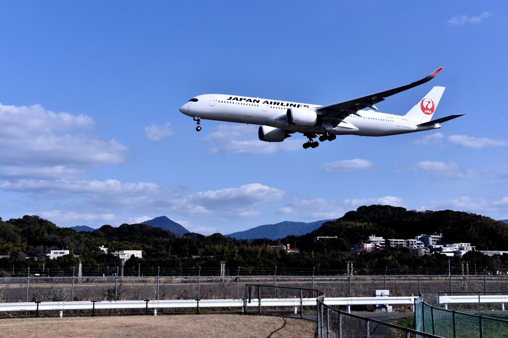 JAL 805