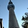 忘れな草　140    「スカイツリー」