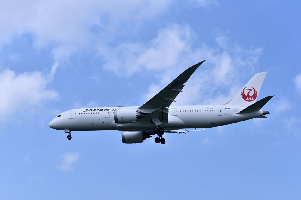 JAL 1015