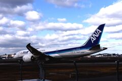 ANA 1152  「人の道」その三