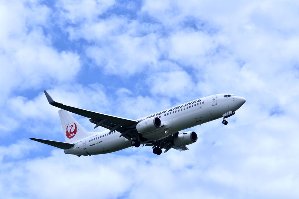 JAL 675