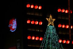 「イルミ2025」04