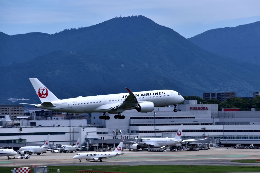 JAL 660