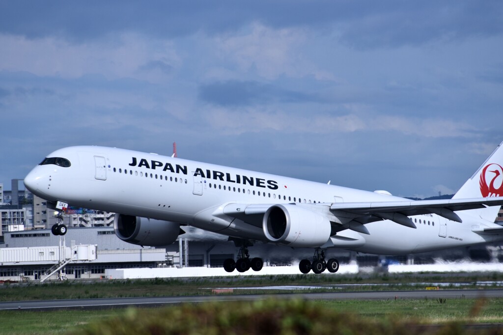 JAL 913