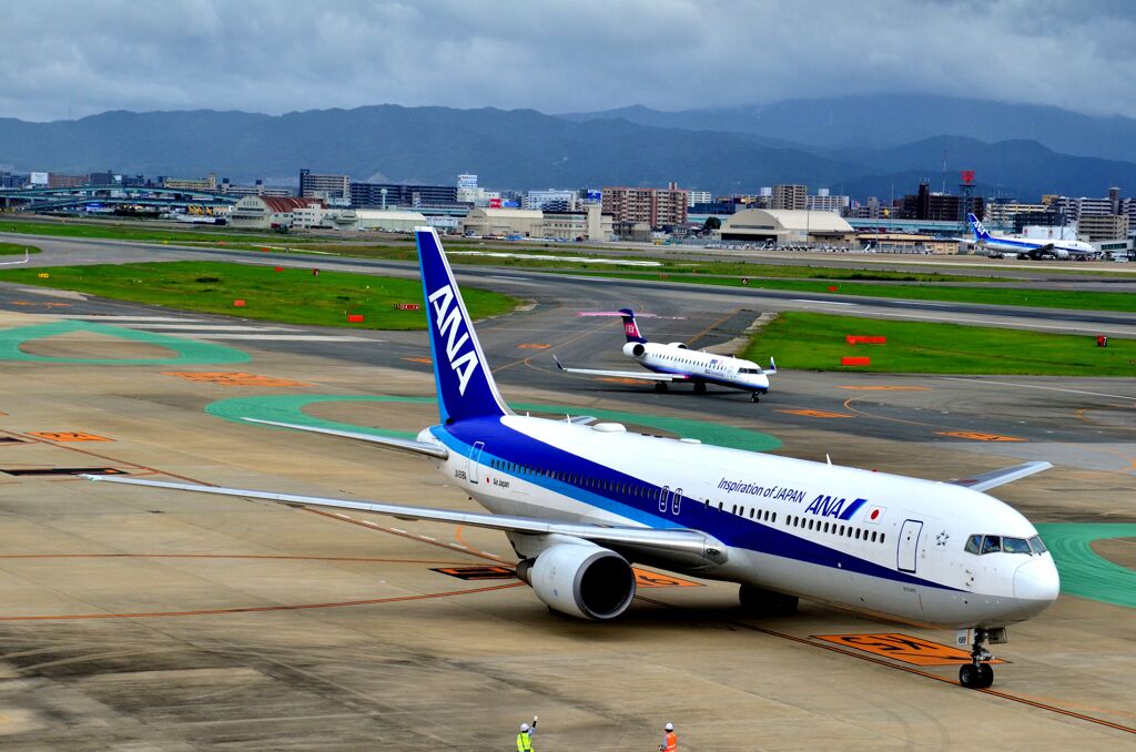 ANA 193