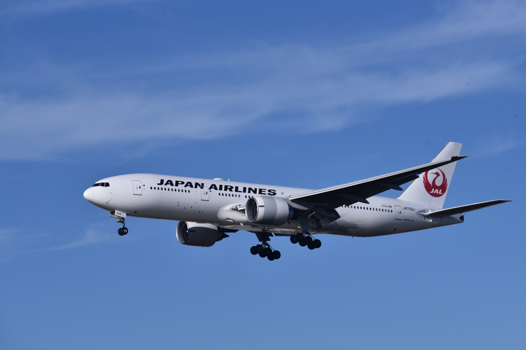 JAL 787