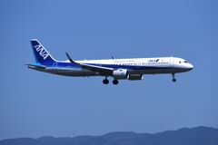 ANA 495