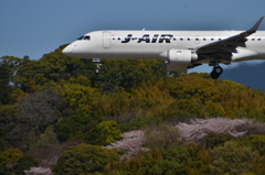 JAL 575