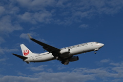 JAL1385