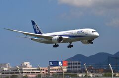 ANA 1000